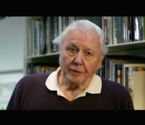 Filming Sir David Attenborough for the video I Will Fight